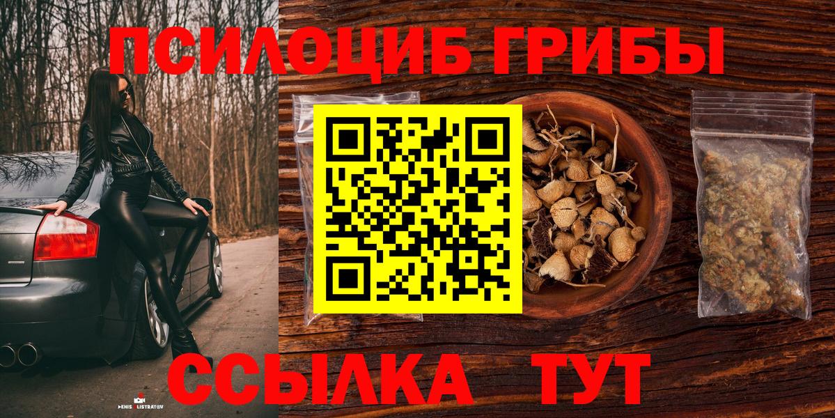 Галлюциногенные грибы Psilocybe  Галлюциногенные грибы MAGIC MUSHROOMS  Новочебоксарск  Вход с VPN 